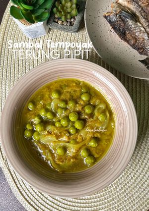 Gambar Sambal Tempoyak Terung Pipit