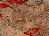 49. Beef Teriyaki Proteina