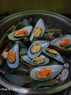 Foto resep Kerang hijau rebus enak