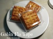 Gambar gabin fla tape