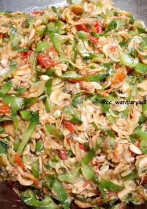 Foto resep Tumis kecipir udang rebon