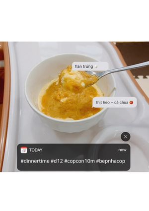 Hình của món Flan trứng sốt cà chua 🍅 thịt heo.