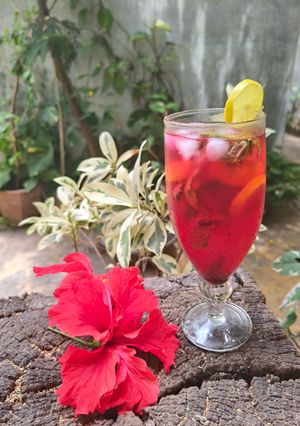 A picture of Rose Mocktail.
