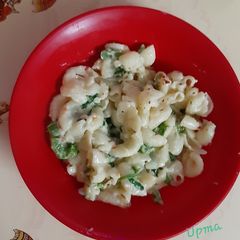 A picture of White Sauce Pasta.