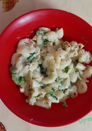 A picture of White Sauce Pasta.