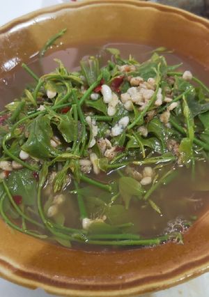 รูปของ แกงผักหวานใส่ไข่มดแดง🍴😋