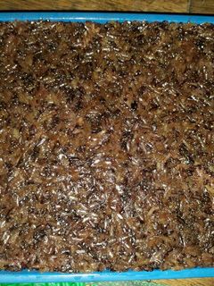 Foto resep Wajik ketan hitam