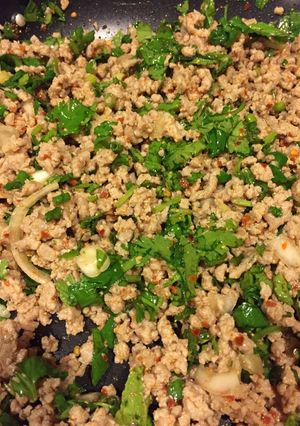 A picture of Larb with Sticky Rice.
