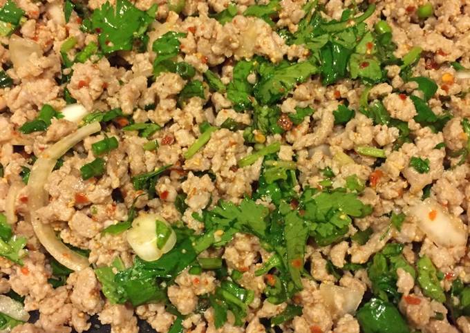 Larb with Sticky Rice