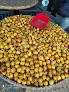 Hình của món Mứt Táo Mèo.