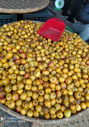 Hình của món Mứt Táo Mèo.