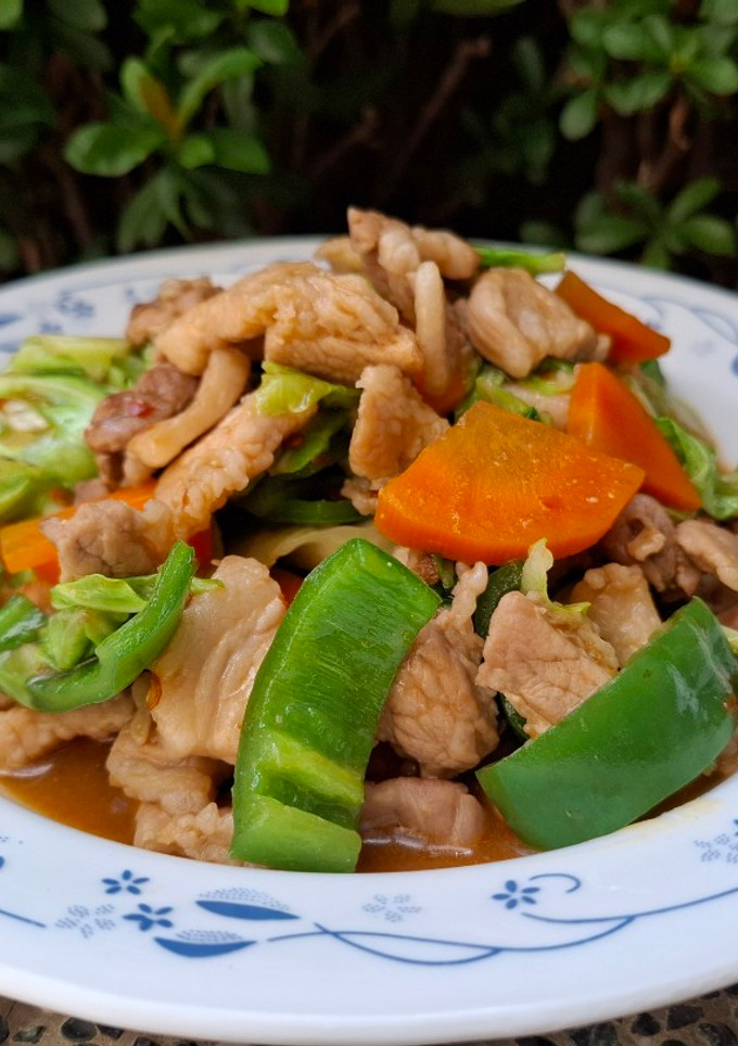 便當菜系列-五花肉炒青椒高麗菜 的食譜成品照片