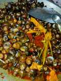 Tutut jeletot