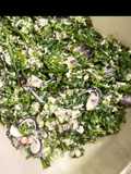 Kerabu Pakis/Pucuk Paku ala Thai (Fiddlehead Fern Salad Thai Style)