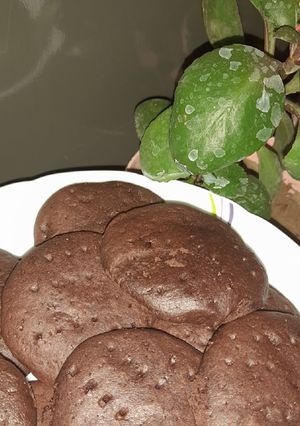 عکسی از دستور کوکی شکلاتی