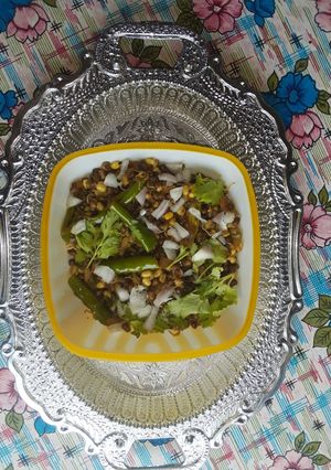 ફણગાવેલા મગ (Fangavela Moong Recipe In Gujarati) રેસીપી મુખ્ય ફોટો