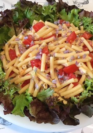Une photo de Salade de pâtes aux tomates,laitue tricolore et fleurs de ciboulette (sauce au melfor)