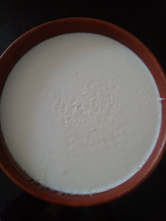 عکسی از دستور ماست خونگی