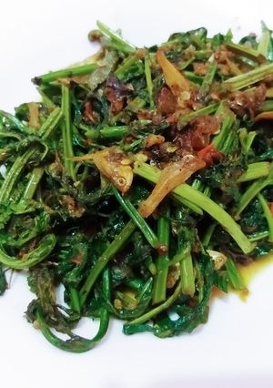 Foto resep Tumis Pedas Pakis Teri