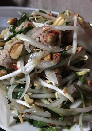 Hình của món Nộm thịt lợn hành Tây giá đỗ chua thanh ngày oi nóng.