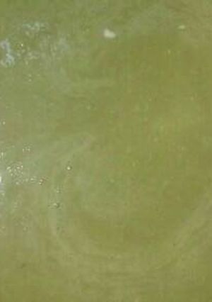 Una foto de Crema sopa de Espárragos