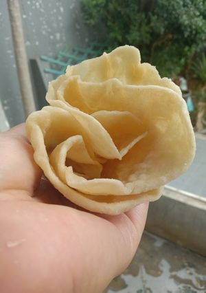 Foto resep Lavash Ekmek / Turkish Flatbread / Kulit Doner