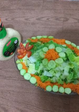 عکسی از دستور دیزاین سالاد