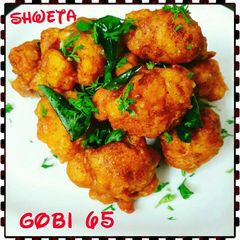 A picture of Gobi 65.
