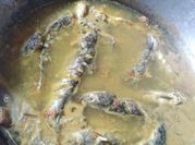 Gambar ikan keting pedas