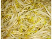 A picture of bean sprouts stir fry
