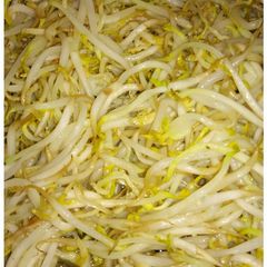 A picture of Tumis Toge Teri (Stir-Fry of Bean Sprouts and Anchovy) - 6 Ingredients.
