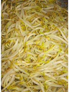 A picture of Tumis Toge Teri (Stir-Fry of Bean Sprouts and Anchovy) - 6 Ingredients.