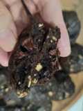 Oat Quinoa Dark Chocochips