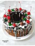 Gluten Free Chocolate Chiffon Cake (Tepung Mocaf)