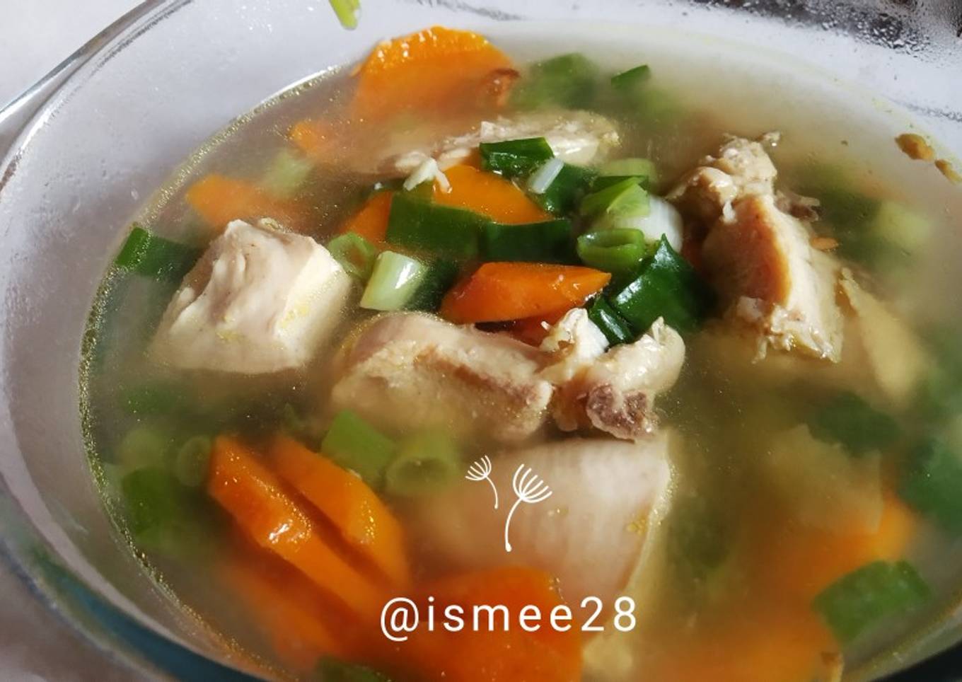 Sup Ayam obat