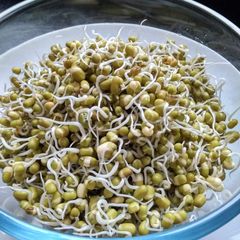 Homemade Sprouts A picture of Homemade Sprouts.