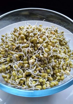 A picture of Homemade Sprouts.