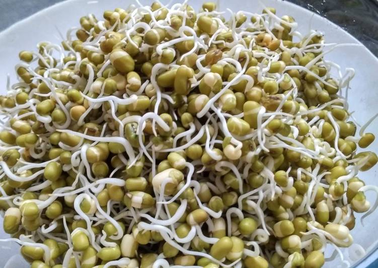 Recipe of Homemade Homemade Sprouts