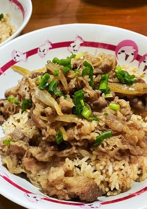 A picture of Gyudon(Japanese beef bowl).