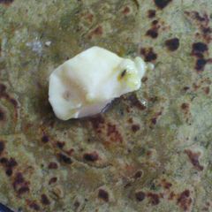 A picture of Panchmel Lachha paratha.