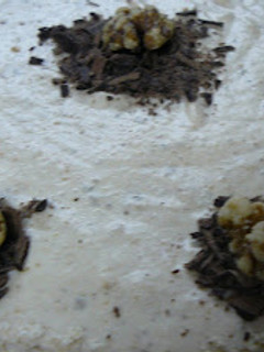 Una foto de Tarta mousse de nuez