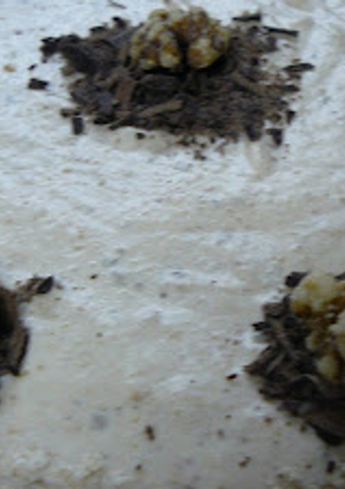 Una foto de Tarta mousse de nuez