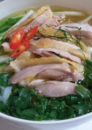 Hình của món Phở Gà Hà nội.