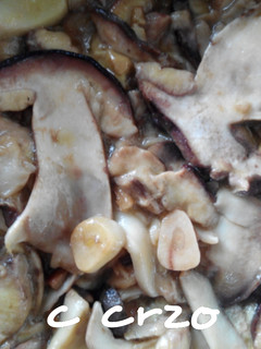 Una foto de Boletus al ajillo
