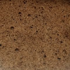 A picture of Basic chocolate sponge.