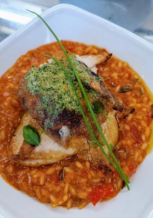 A picture of Tomato and chorizo risotto with pan fried chicken supreme and pesto compound.