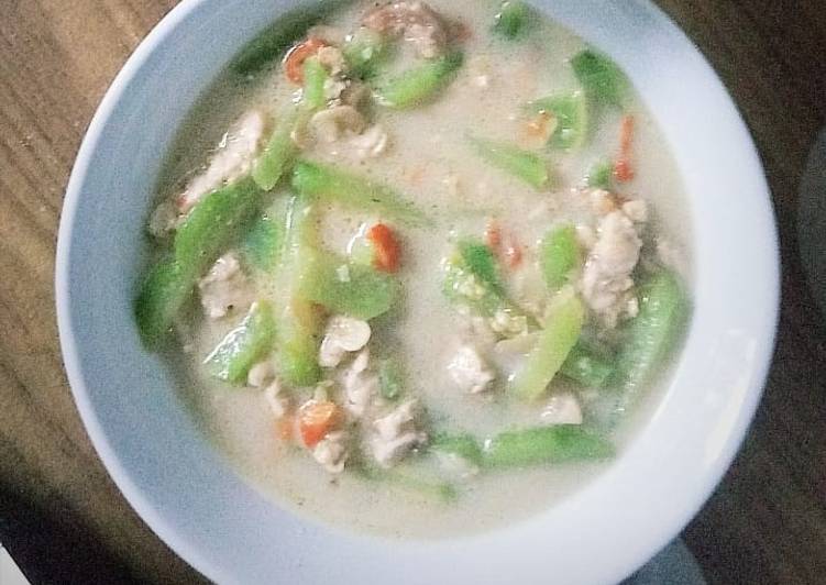 Resep Sayur Lodeh Labu Siam Tempe Manisa Tempe Yang Praktis