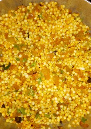 A picture of Sabhudhana upma...