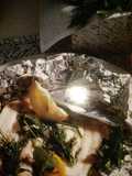 Corvina al campero
