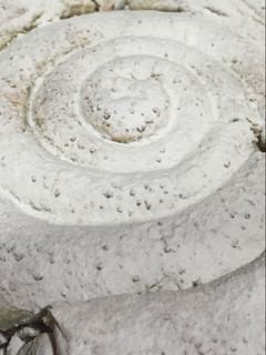 Una foto de Ensaimada de nocilla y nueces